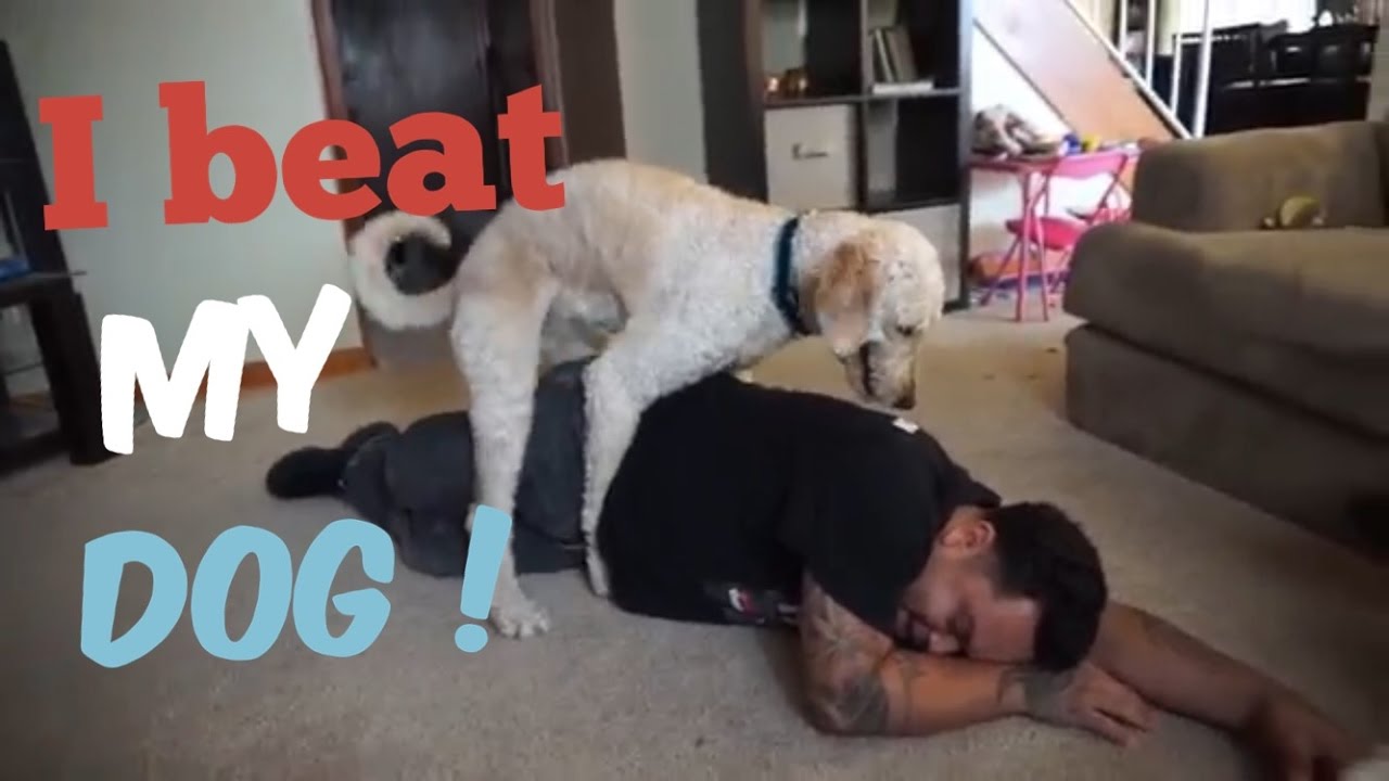 I BEAT MY DOG!!!!!! YouTube
