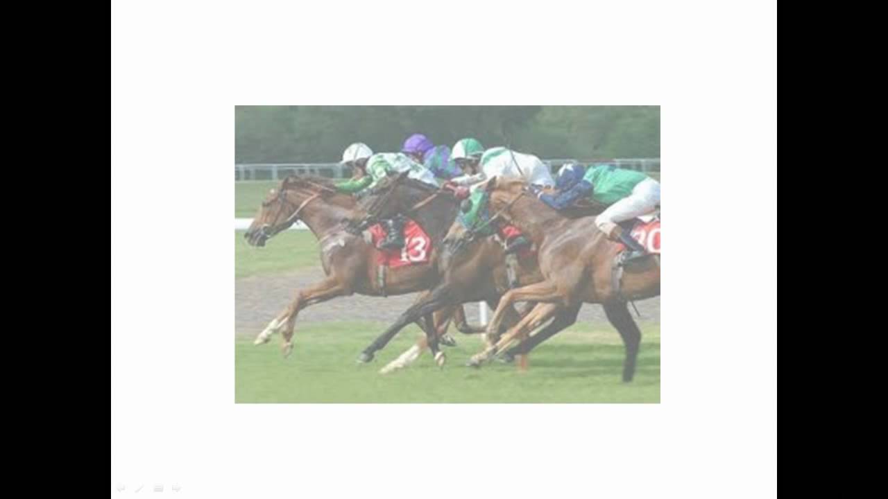 adzzoo-internet-marketing-training-small-business-marketing-adzzoo.mp4