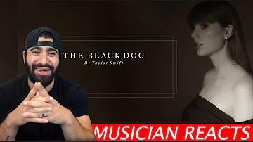 The Black Dog - Taylor Swift - Musician's Reaction