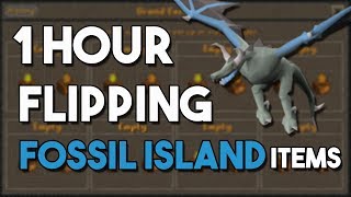 Flipping Brand New Fossil Island Items Is Surprisingly Good!  - A One Hour Flipping Challenge [OSRS]