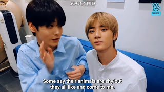 [ soogyu ] soobin beomgyu bickering for 13 minutes