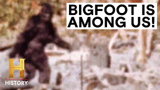MonsterQuest: BIGFOOT & BIRDZILLA ARE OUT THERE *3 Hour Marathon*