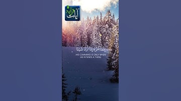 أوليس الذي خلق السموات والأرض بقادر سورة يس للشيخ ماهر المعيقلي