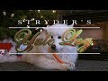 Stryder's Holiday Yule Log - 2018