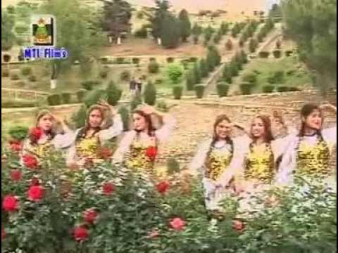 Dil Mai Nytham Ami Chani || Kashmirir Song || Suroor ll Shahzad Aasim