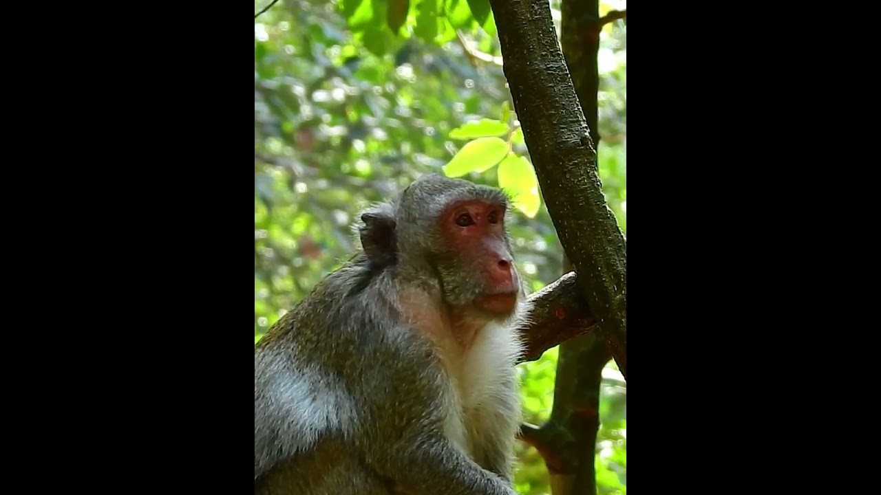 Jane Is So Nice Mother 71