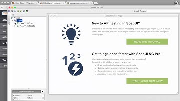 Publish and Invoke SOAP API, WSO2 API Cloud Tutorial 14