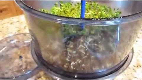 Tribest Freshlife Sprouter