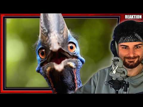 Dumme Tode im Urlaub? 😱 | Malternativ | Reaktion