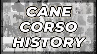 CANE CORSO HISTORY: THE EARLIEST ARTIFACTS (BC) UNTIL NOW!!!