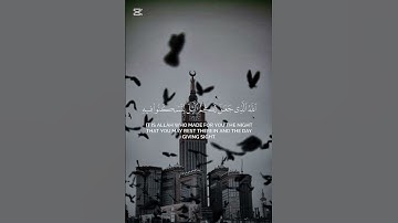 سورة غافر {الآية 60} بصوت الشيخ ياسر الدوسري ❤️❤️