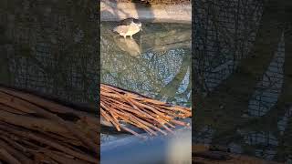 Mrekullitë E Allahut Kudo Rreth Nesh