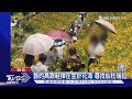 誰的高跟鞋掉在金針花海 尋找仙杜瑞拉｜TVBS新聞 @TVBSNEWS01