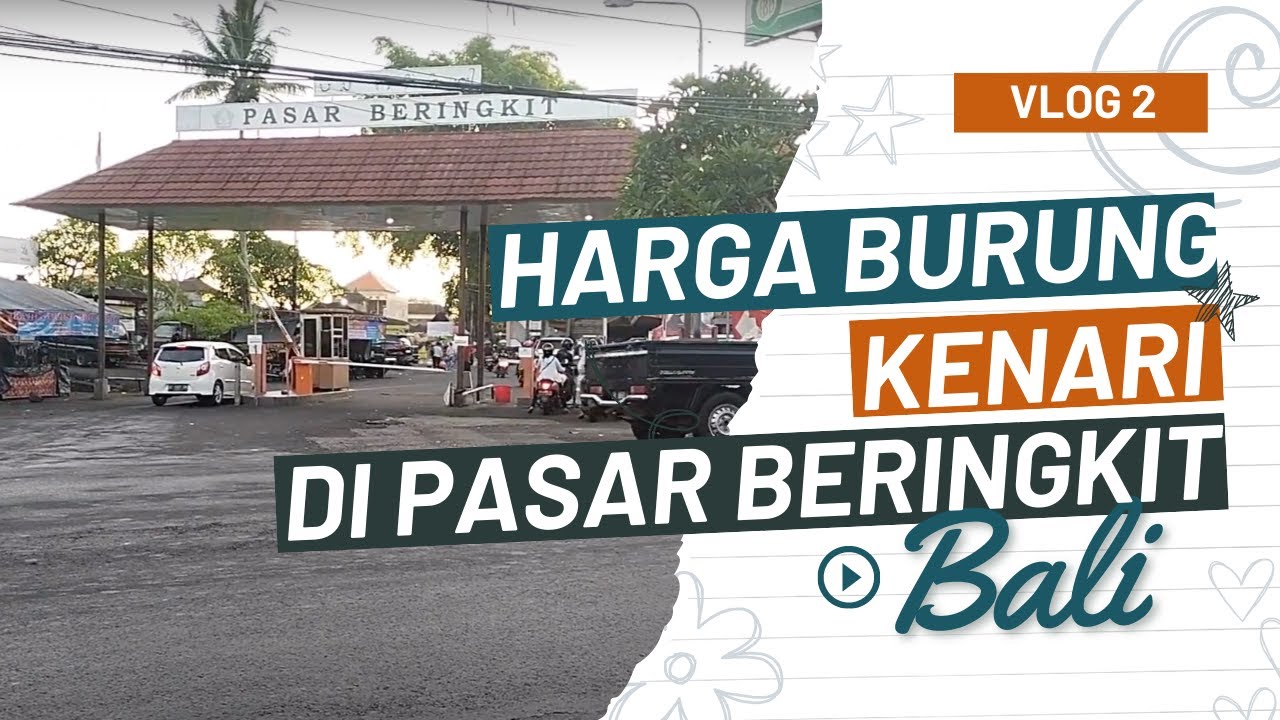 SURVEY BURUNG DI PASAR BRINGKIT | MENGWITANI - BALI #kicaumania