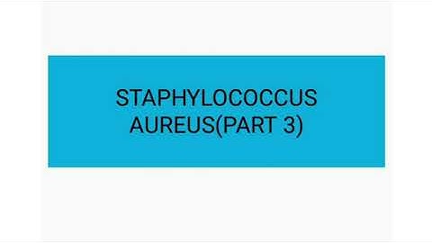 Staphylococcus aureus (part 3)