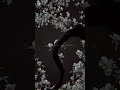 السيف في الغمض لا تخشى مطالبه 