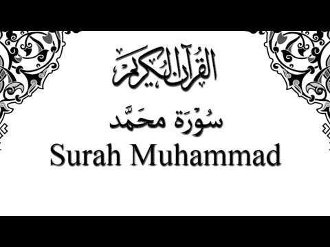 سورة-محمد-surah-muhammad-|-رمضان-1437-ramadan-|-عبدالولي-الاركاني-abdulwali-alarkani