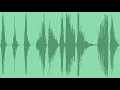 Cinematic Whoosh Sound Effects Cinematic Whoosh Sound Effects