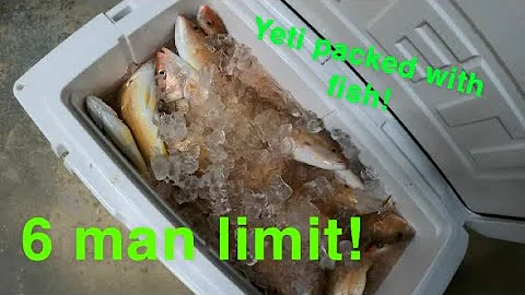 Epic day in the gulf!  6 man limit of snappers! 65...