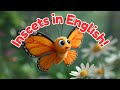 Learn Insect Vocabulary in English 🐝🦋 | Fun and Easy Words for Kids!  #shortsforkids