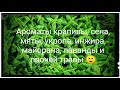 Необычные травяные ароматы 🌿🍃🍀