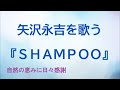 『SHAMPOO』/矢沢永吉を歌う_189 by 自然の恵みに日々感謝