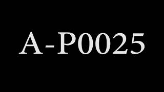A P0025