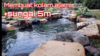 Cara pembuatan kolam koi alami di depan rumah 