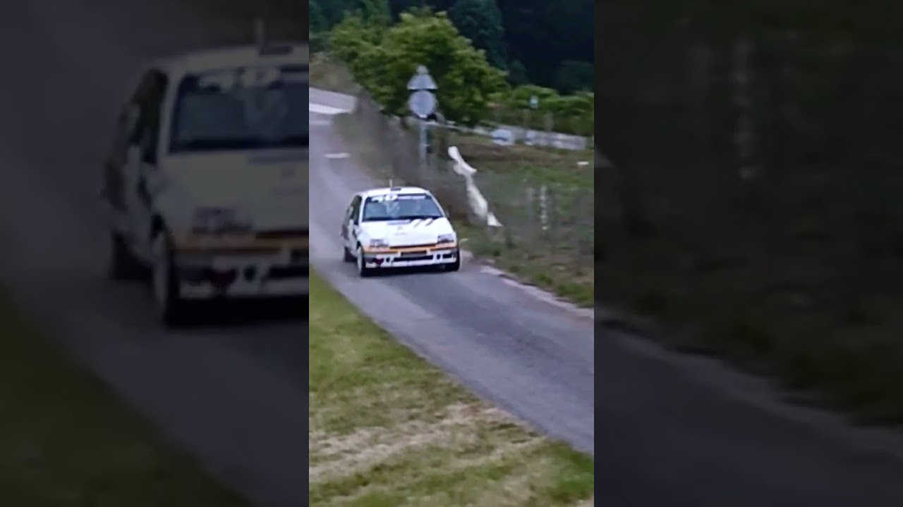 Gorka Antxustegi - Xabat Urresti. Renault Clio Williams. Rallye Goilurrak 2023