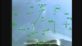 Dogfight: Rafale vs F22 (Close combat)