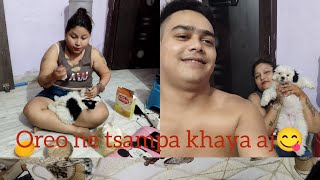 Oreo k fans following bohut hogae🙏✌️🫰#dailyvlogs #tibetanyoutuber #subcribemychannel