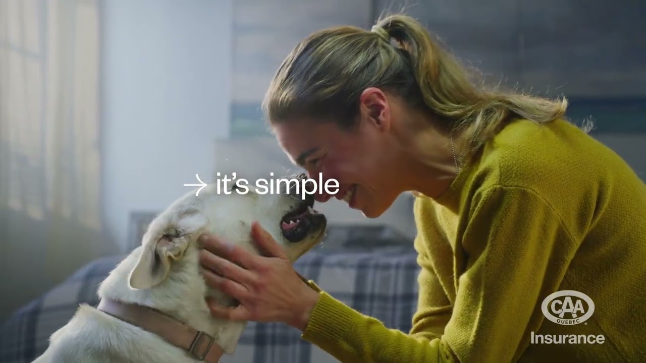 Pet Insurance: To Help Protect Your Cat or Dog