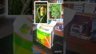 🌾 Syngenta Virtako – फसल का रखवाला! | कीटों से जबरदस्त बचाव | Bharat Beej Bhandar#pesticides