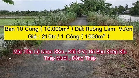 Bán 10 Công Đất Ruộng Làm Vườn | Mặt Tiền Lộ Nhựa 33m , Đất 3 Vụ Đê Bao Khép Kín|Giá:210tr / 1 Công
