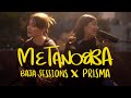 Metanoia darianarr  cover by baja sessionsxprisma acstico