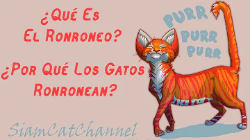 ¿Cuál es la causa del ronroneo?