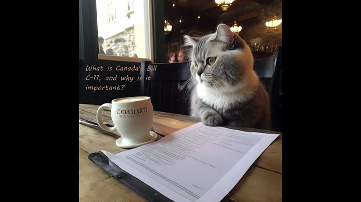 What is Canada's bill C-11 and what does it mean for Canadian content creators?