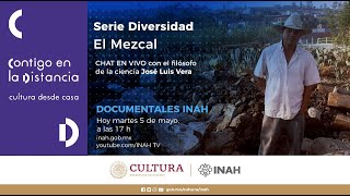 Serie Diversidad. El Mezcal