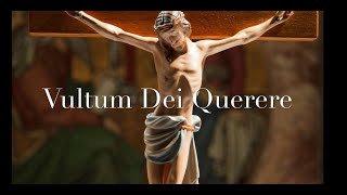 What Lies Behind "Vultum Dei Quaerere - Part 2"