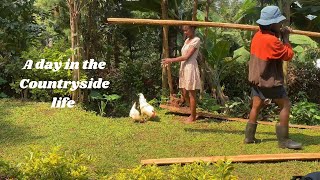 A Day in the Country Life | Slow living Vlog🏡🌸| Evening tea 🫖 | Abundance 💐