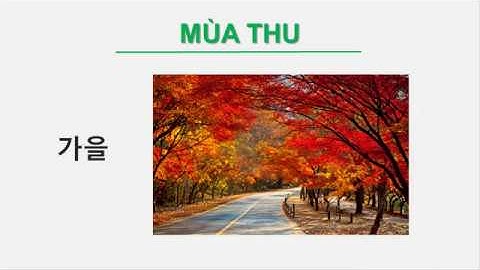 THỜI TIẾT/ TIẾNG HÀN TỔNG HỢP/ TỪ VỰNG TIẾNG HÀN THEO CHỦ ĐỀ