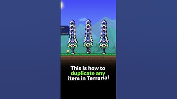How to duplicate any item in Terraria 1.4.4.9 (All platforms) #terraria