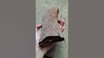 Bộ vỏ dao gỗ trắc chuột