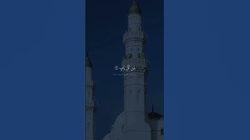 وَٱلْمَلَـٰٓئِكَةُ يَدْخُلُونَ عَلَيْهِم مِّن كُلِّ بَابٍ | محمد صديق المنشاوي | سورة الرعد