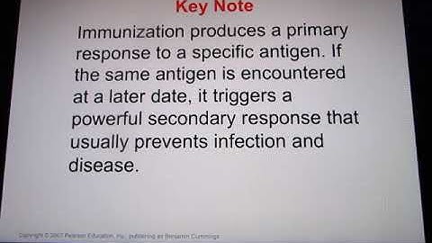 ACC Biol2404 IntroA&P Lymphatic System Online Lecture part2 out of 2