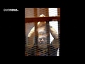 Egypte  dcs de lancien prsident mohammed morsi