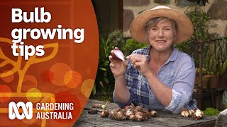 Everything you need to know about growing bulbs | Gardening 101 | Gardening Australia screenshot 5