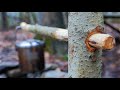 Bushcraft Joinery - COOLEST POT HANGER EVER