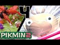 Debt Free | Pikmin 2 | 4