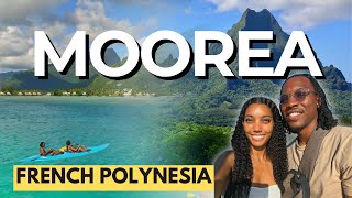 Ultimate Things To Do In Moorea Adventures Moorea Explorer